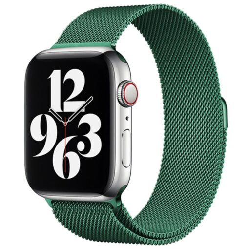 Apple Watch 41mm Metal Mıknatıslı Kordon - Görsel 8