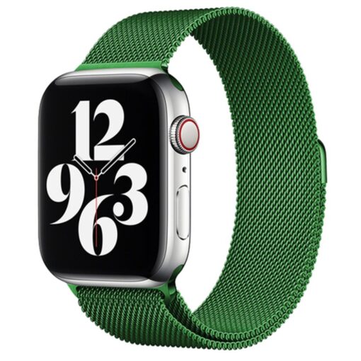 Apple Watch 41mm Metal Mıknatıslı Kordon - Görsel 17
