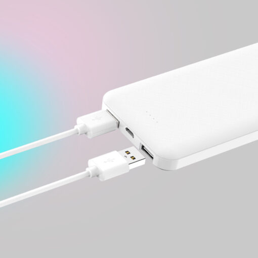 Xipin PX102 Hızlı Şarj Özellikli LED Göstergeli Dual USB Taşınabilir Akıllı Powerbank 10000mAh - Görsel 4