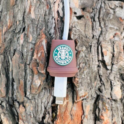 Kahverengi Starbucks Kablo Ucu Koruyucu